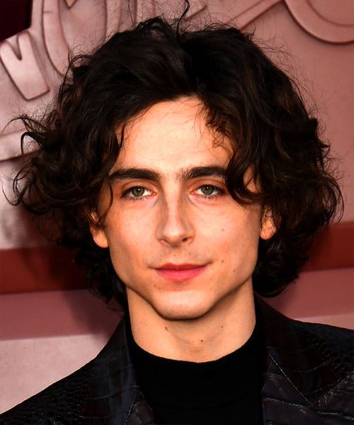 Timothee Chalamet Medium-Length Hairstyle With Natural Waves - side view