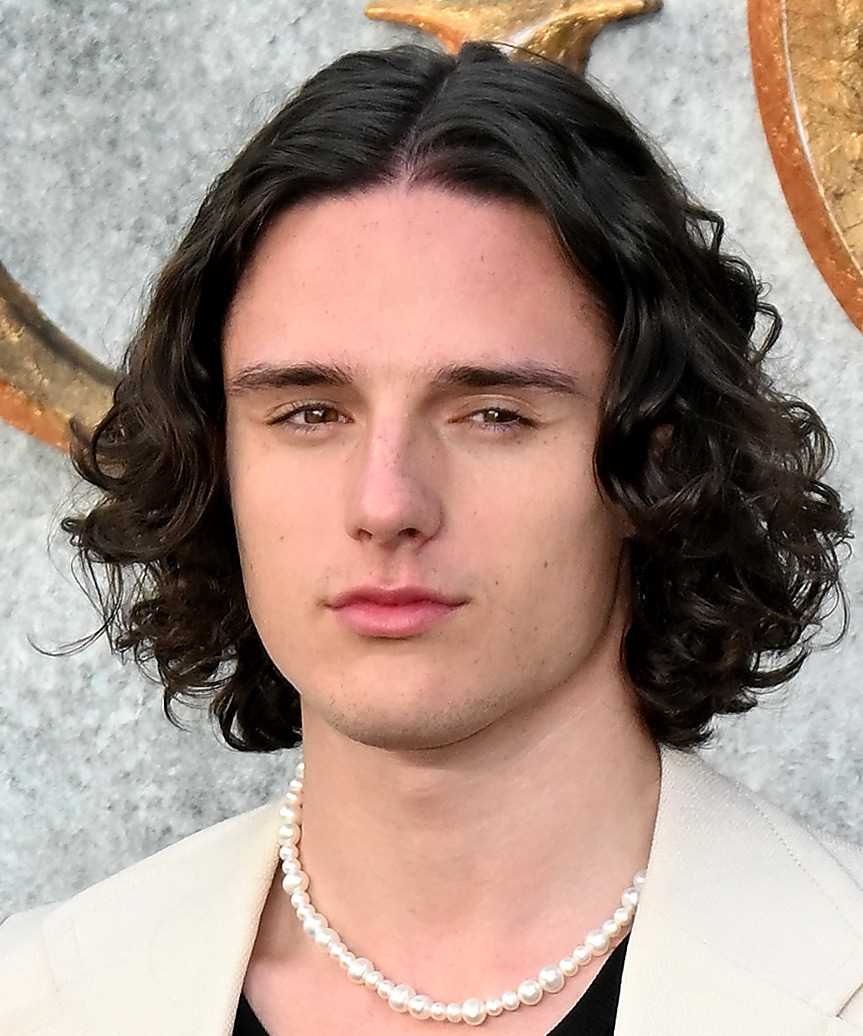 Harry-Collett Medium-Length Hairstyle With Curls - side view