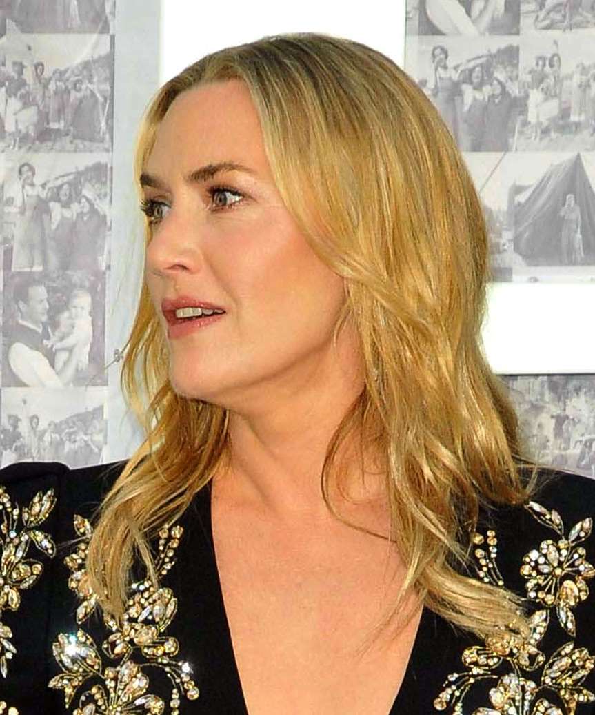 Kate Winslet Hairstyle With Subtle Waves - side view