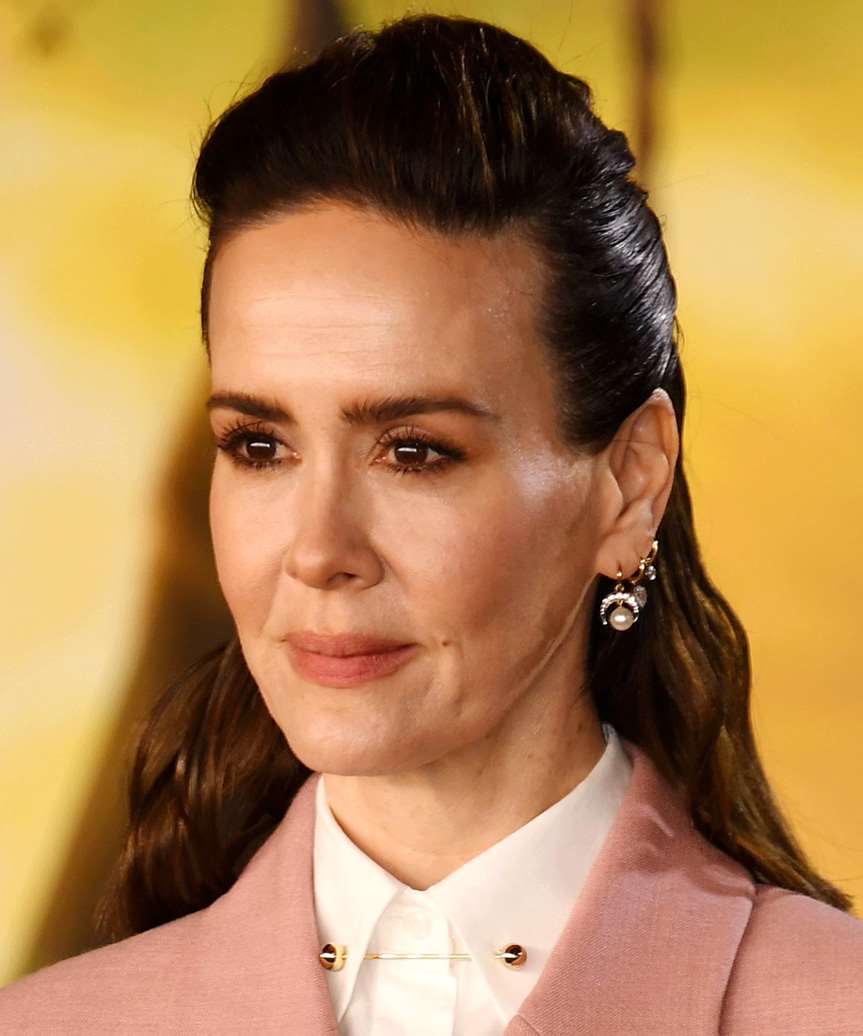 Sarah Paulson Long Quiff Hairstyle - side view