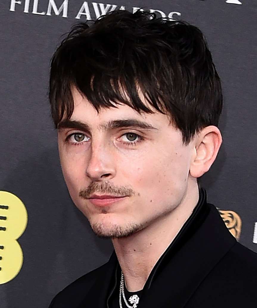 Timothee Chalamet Hairstyle With Bangs - side view