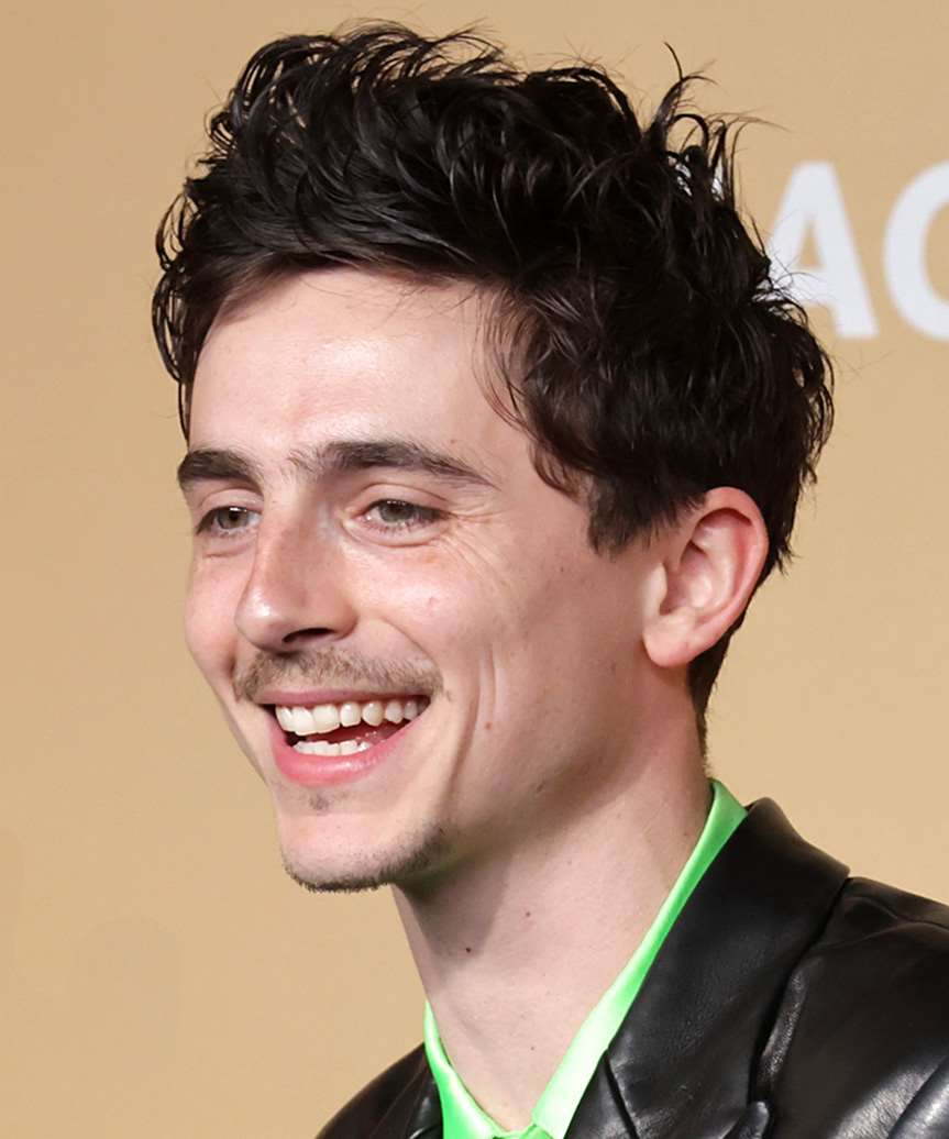 Timothee Chalamet Short Spiky Hairstyle - side view