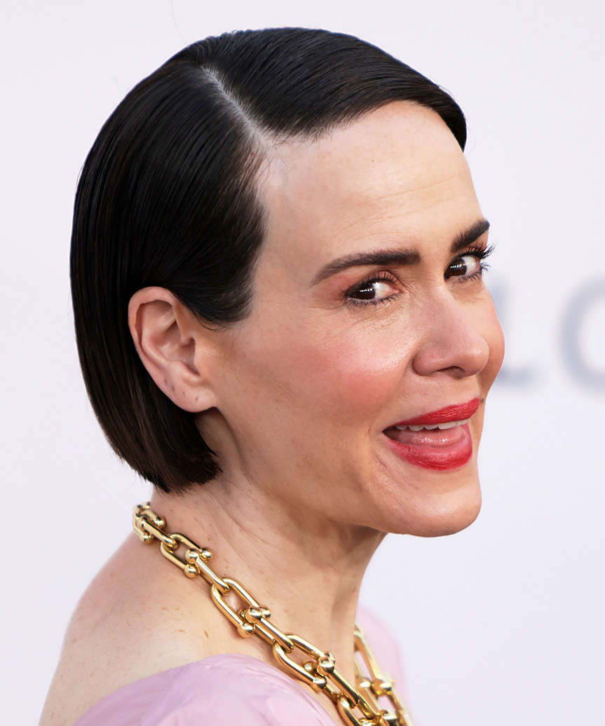 Sarah Paulson Short And Sleek Hairstyle - side view
