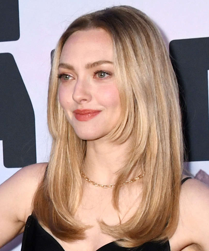 Amanda Seyfried Simple And Elegant Hairstyle - side view