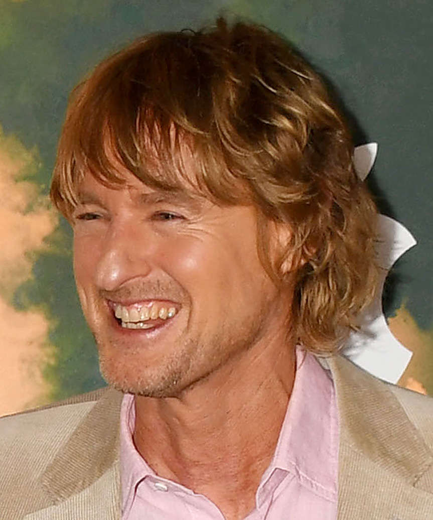 Owen Wilson Medium-Length Shaggy Hairstyle - side view