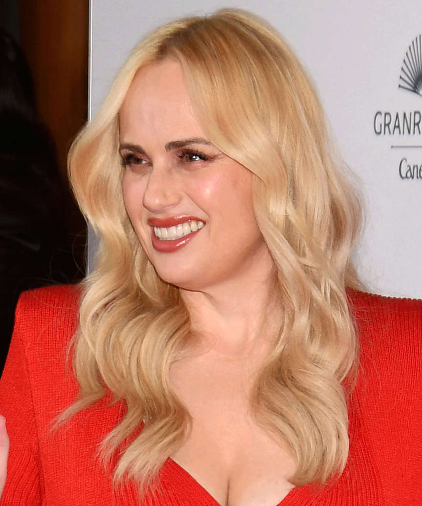 Rebel Wilson Long Hairstyle With Waves - side view