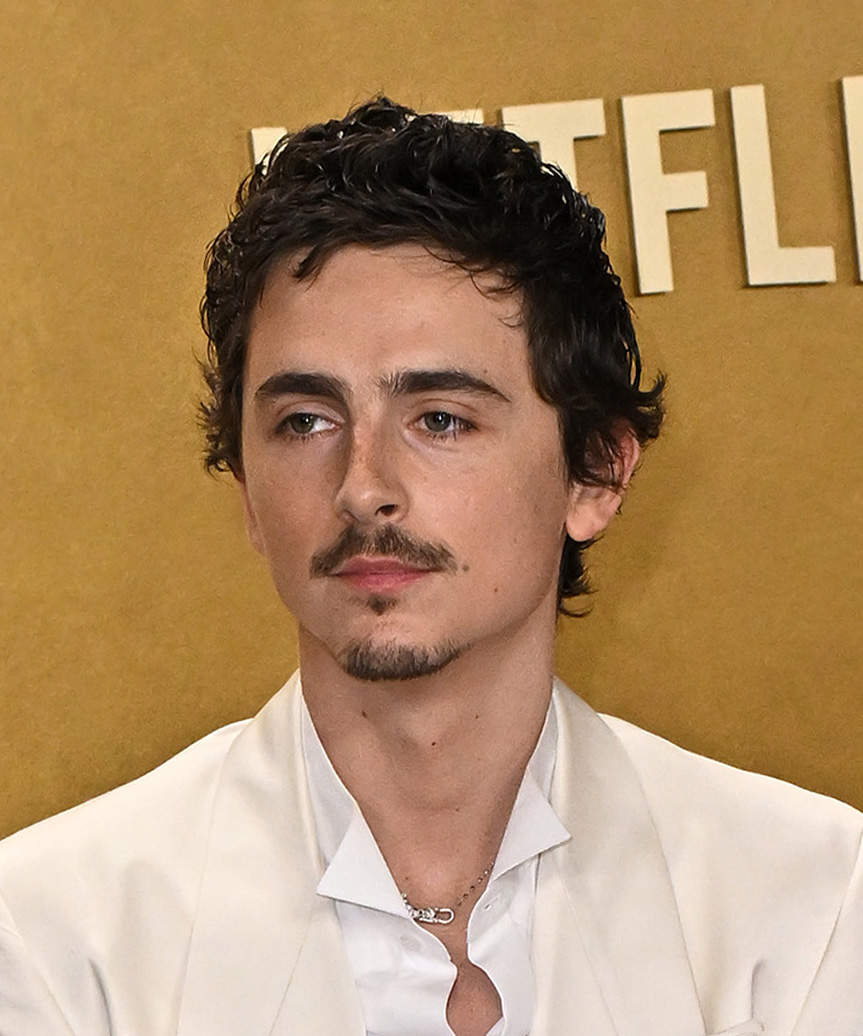 Timothee Chalamet Short Hairstyle With Natural Waves - side view