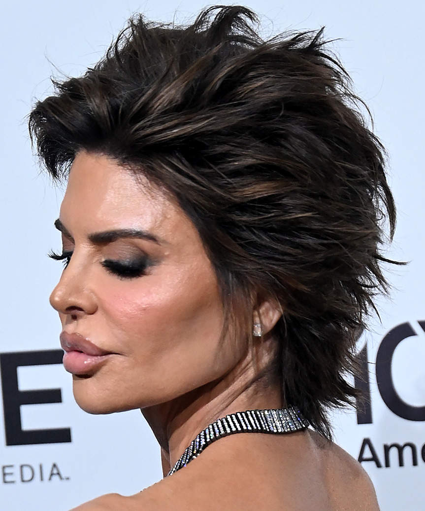 Lisa Rinna Spiky And Voluminous Pixie Cut - side view