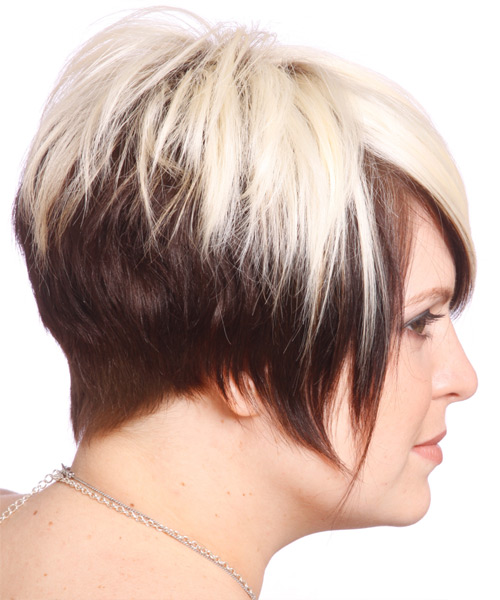  Two-Tone Light Chocolate And Blonde Hairstyle With Tapered Back - side view