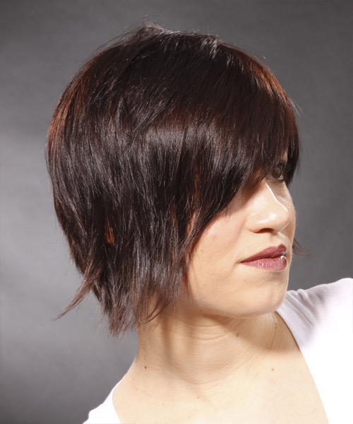 Short Straight Casual Hairstyle - Mocha Brunette Hair Color