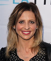 Sarah Michelle Gellar Medium Straight Light Brunette And Blonde Two 