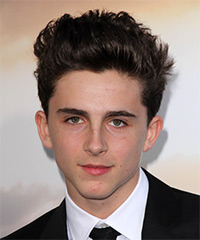 Timothee Chalamet Short Straight   Dark Brunette   Hairstyle