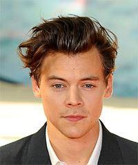 Harry Styles Short Wavy    Brunette   Hairstyle  - Visual Story