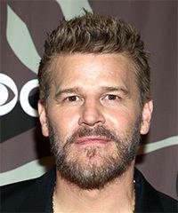 David Boreanaz Short Straight    Ash Blonde   Hairstyle