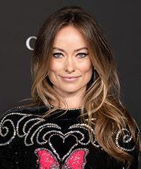 Olivia Wilde Long Straight    Brunette   Hairstyle   with  Blonde Highlights- Visual Story