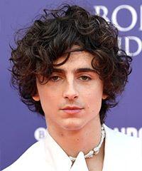 Timothee Chalamet Hairstyle With Curls