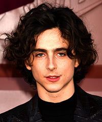 Timothee Chalamet Medium-Length Hairstyle With Natural Waves