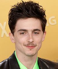 Timothee Chalamet Short Spiky Hairstyle- Visual Story