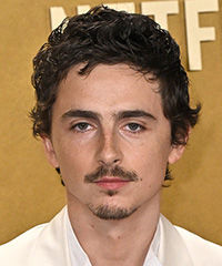 Timothee Chalamet Short Hairstyle With Natural Waves- Visual Story